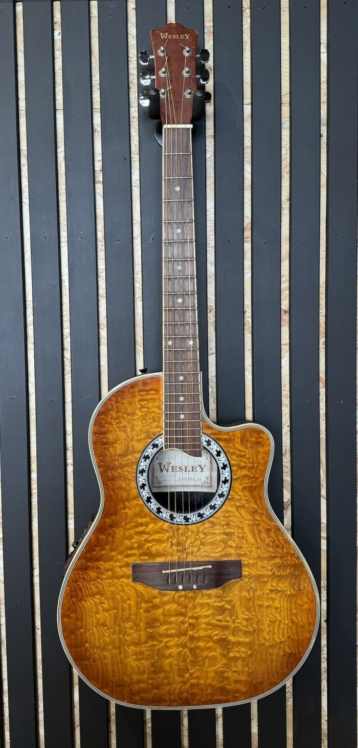 Wesley RB603CB Semi Electric Guitar
