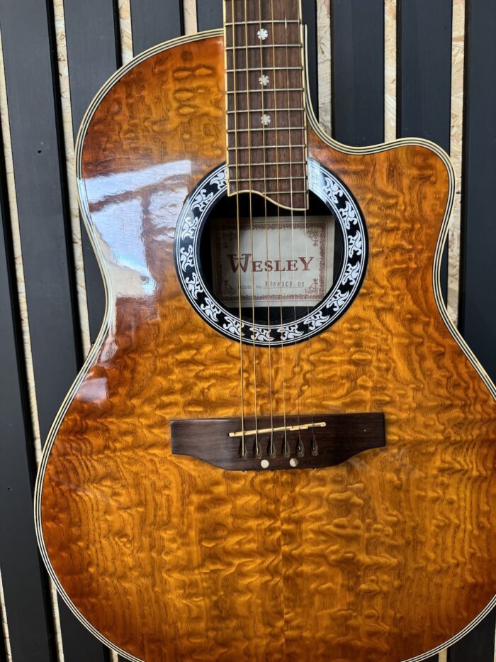 Wesley RB603CB Semi Electric Guitar - Image 2